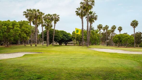 3 Par at Four Points: #9