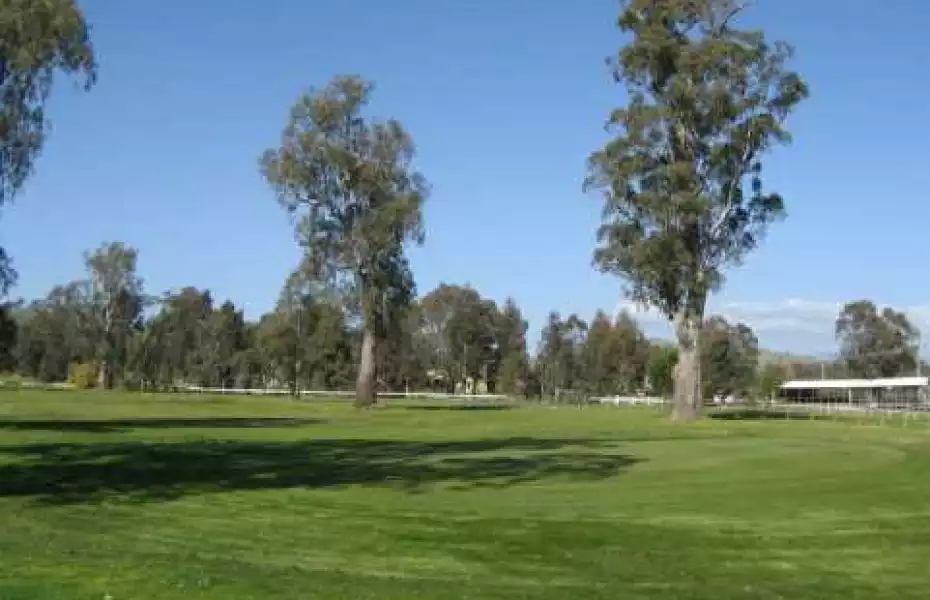Alexandra GC