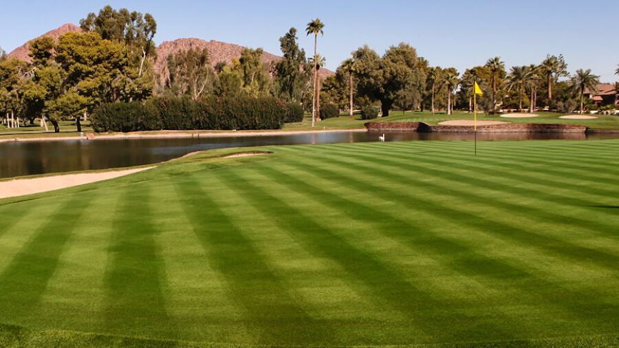 Arizona CC