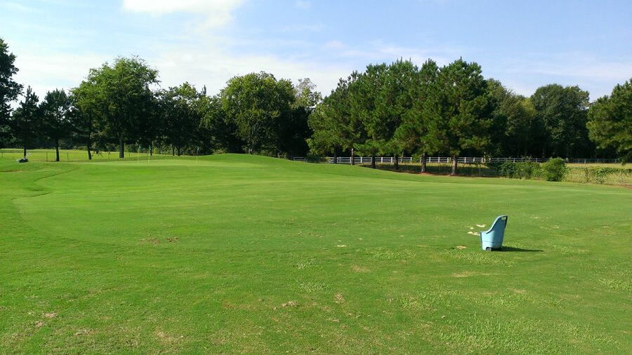 Farm d’Allie GC: Practice area