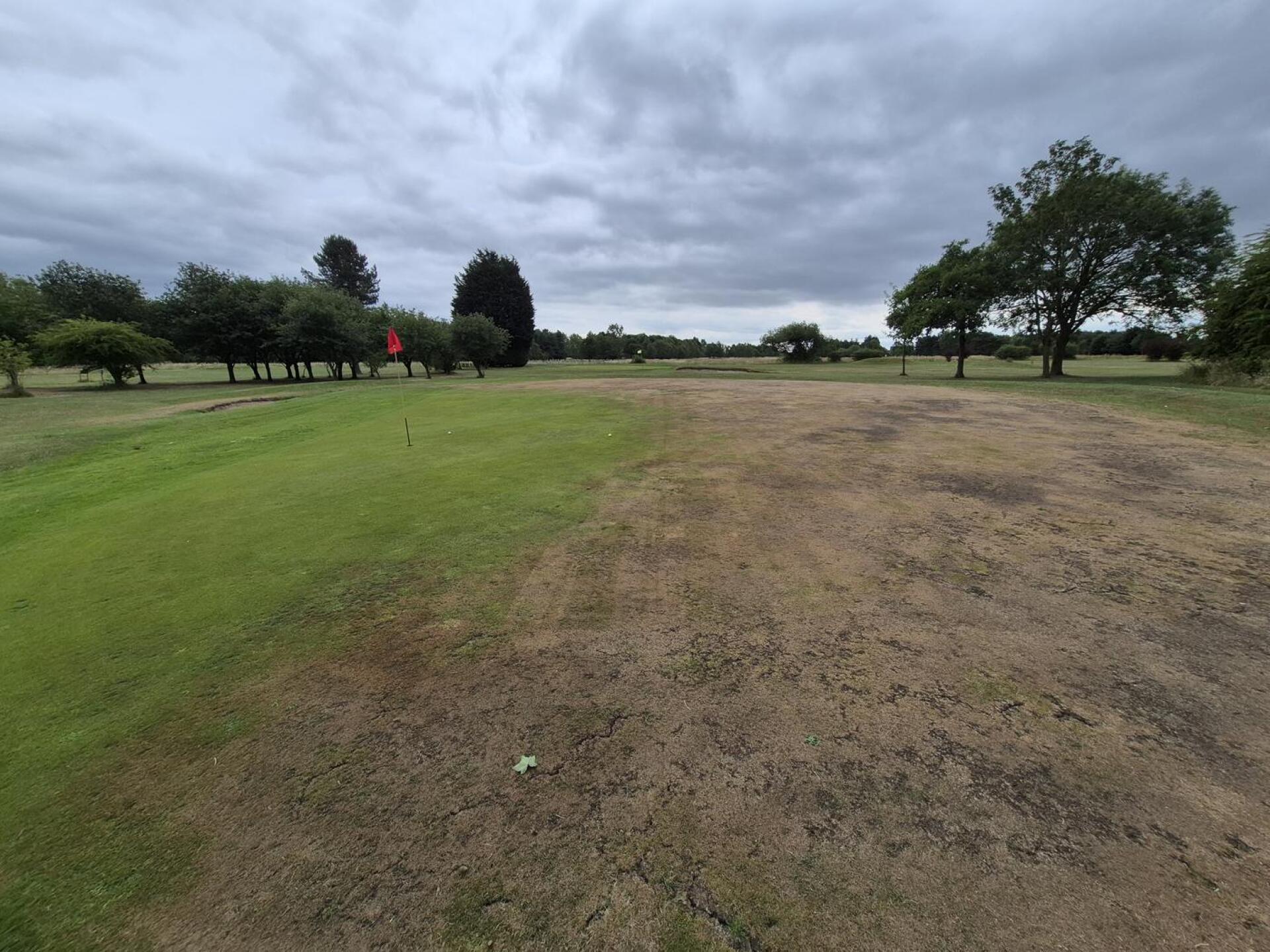 (Photo submitted by WYyR7M6sB7OM8f1sy4Er on 07/06/2025)