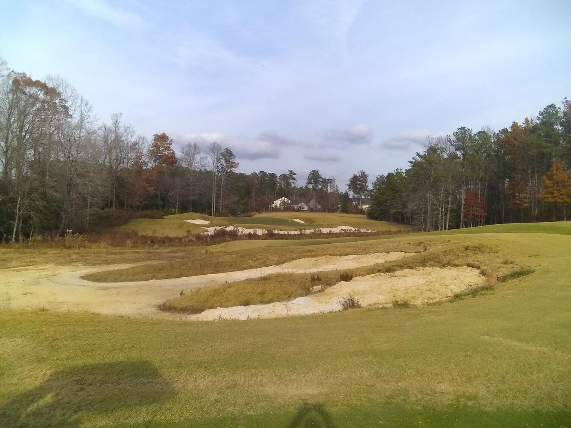 (Photo submitted by jonnybear77 on 11/29/2020)