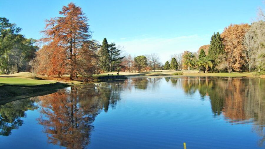 Martindale CC
