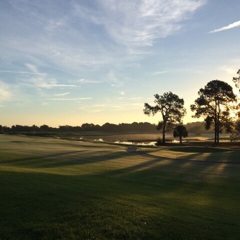 Generic Golf Course shot