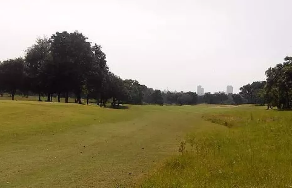 Phoenix Gold GCC - Mountain: #3