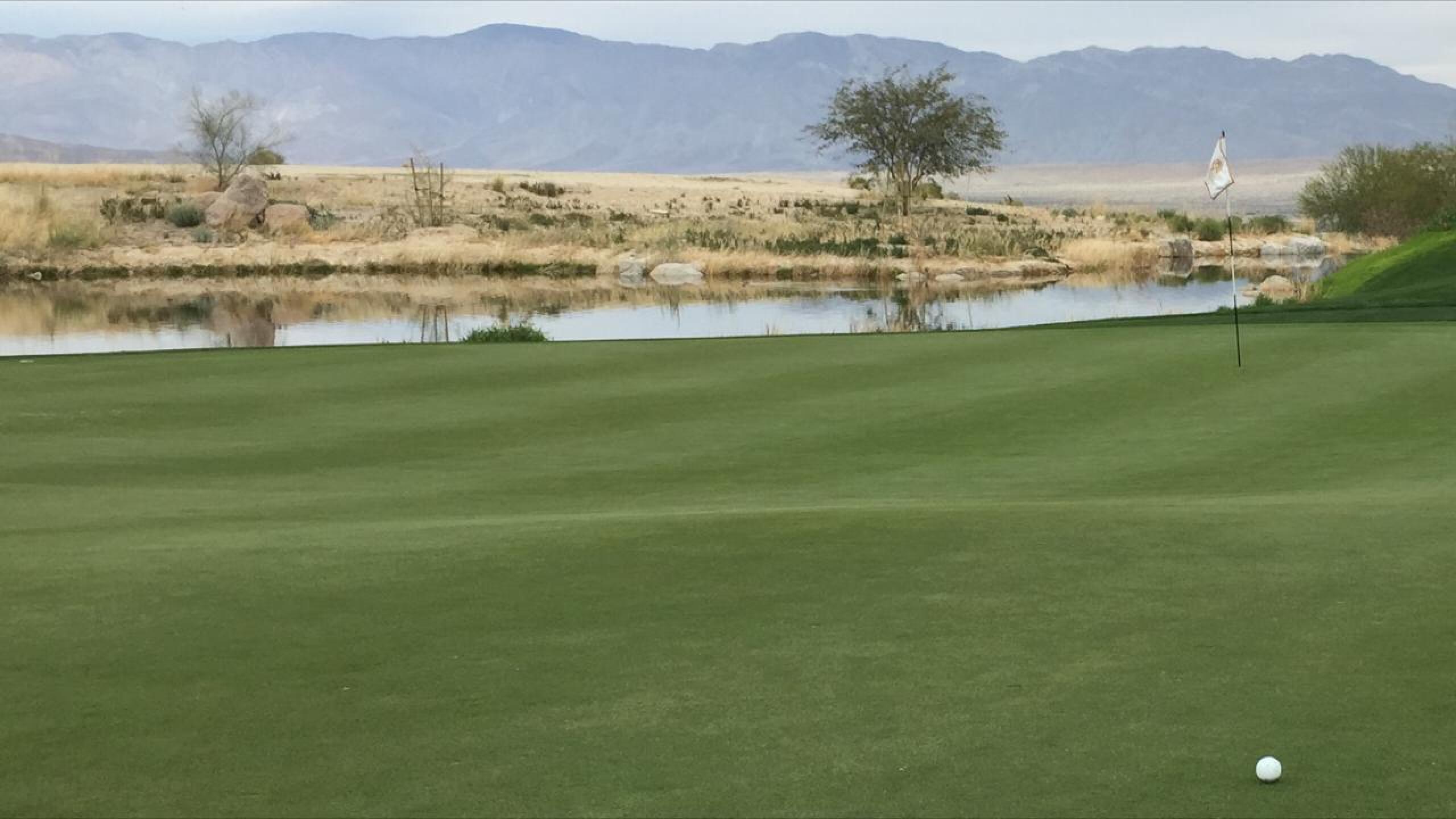 Great Greens! (Photo submitted by karljohnsen on 02/06/2017)