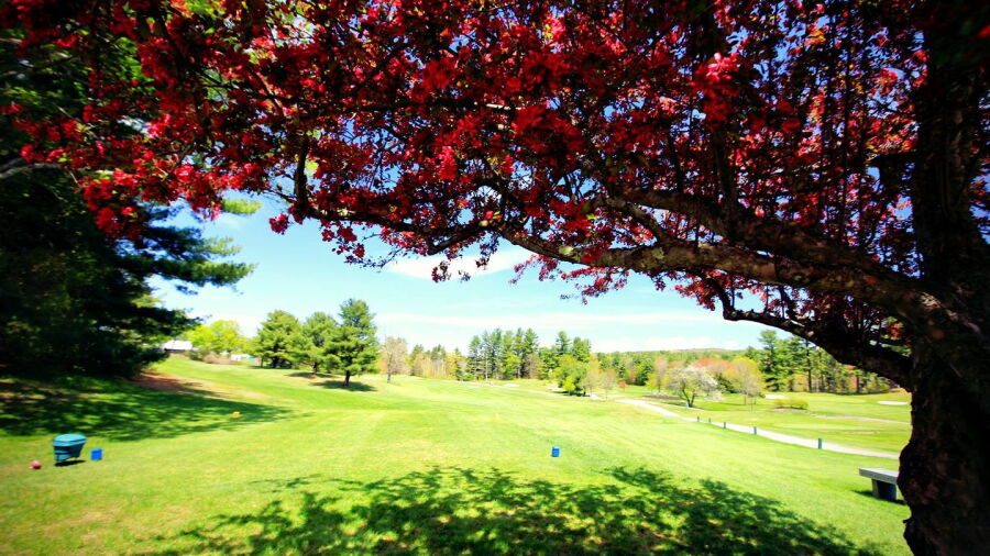 Farmington CC