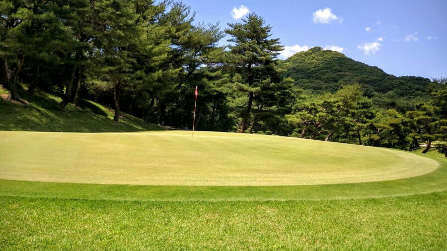 Bridgestone CC: #9