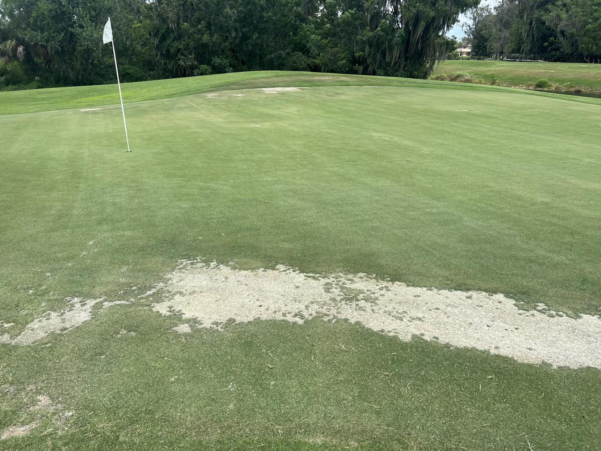 (Photo submitted by u551149055 on 08/28/2023)