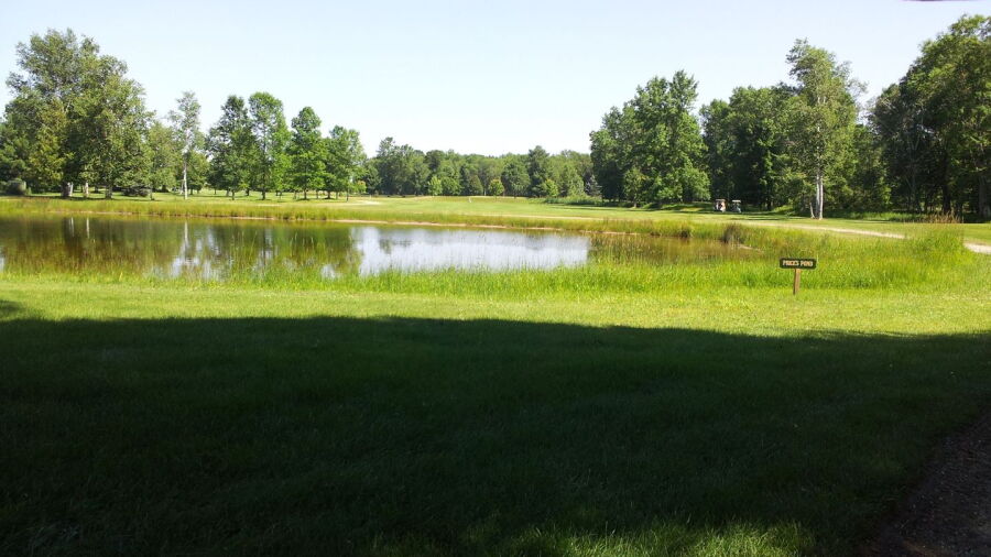 North Shore GC