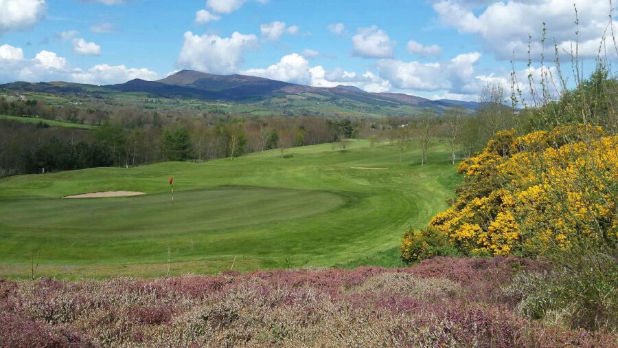 Mitchelstown GC