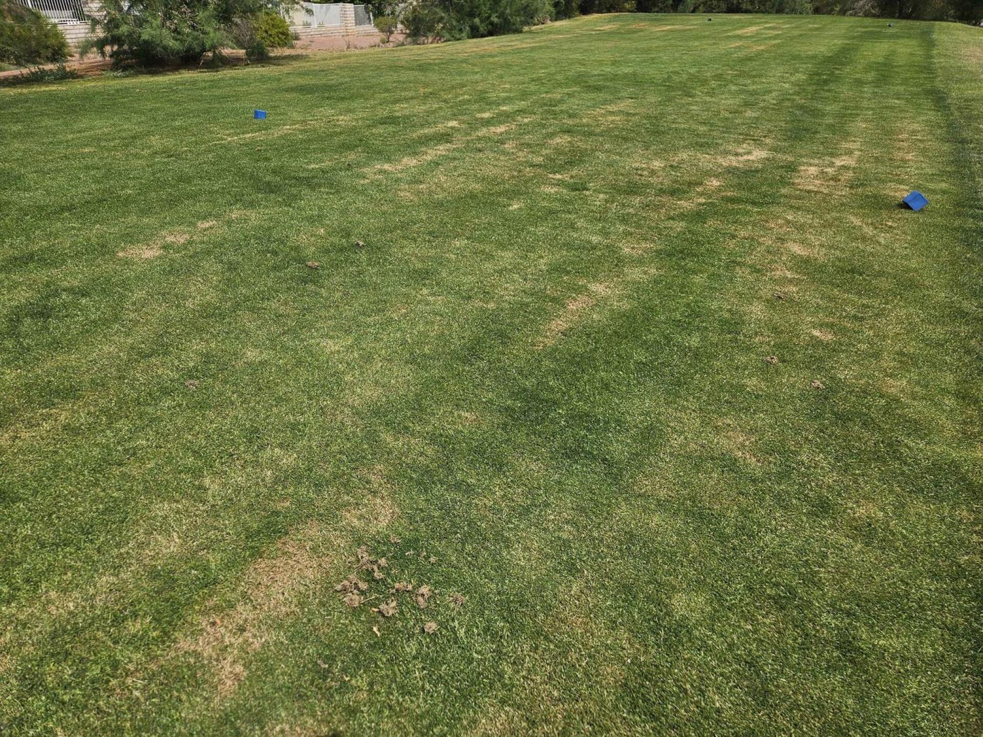 (Photo submitted by u314161622535 on 04/06/2026)