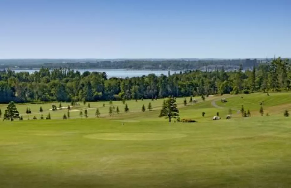 Fox Meadow: panorama