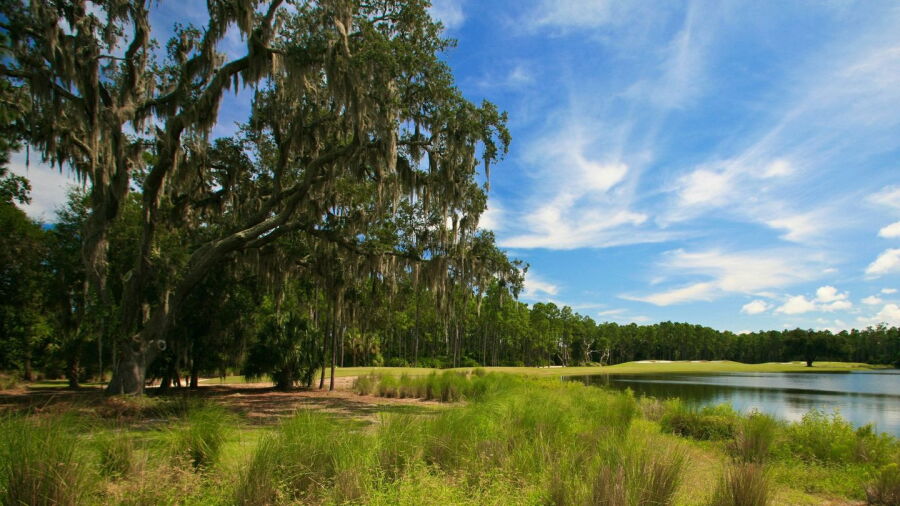Hammock Dunes - Rees Jones Creek: #11