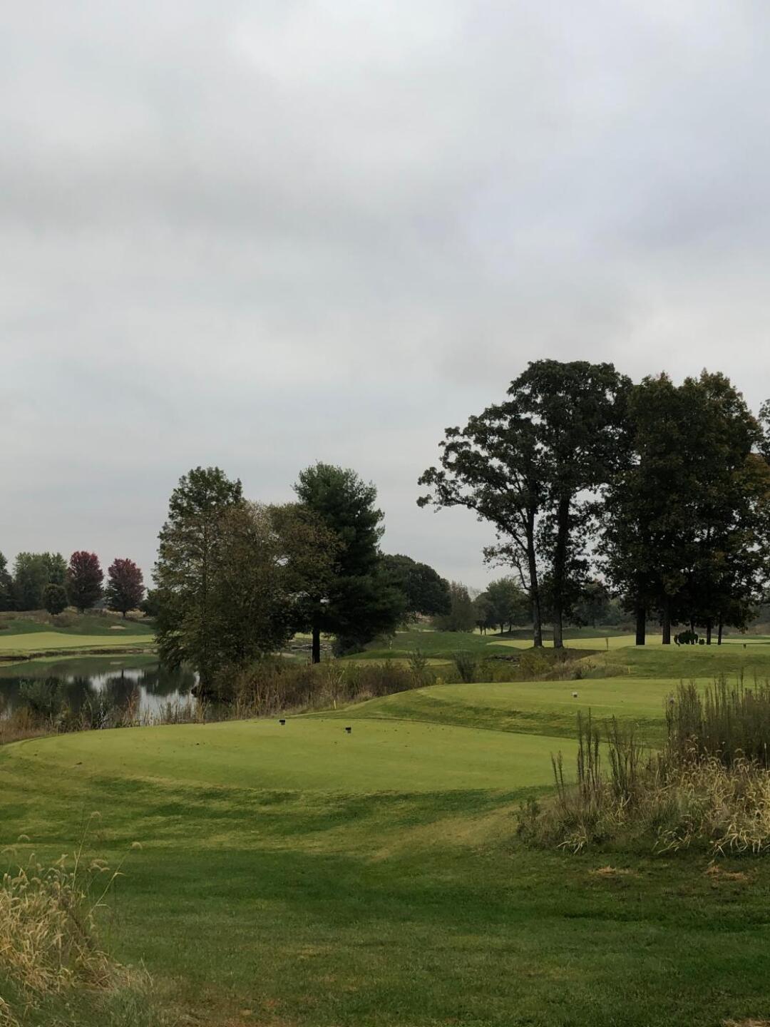 (Photo submitted by stlbej on 10/20/2019)