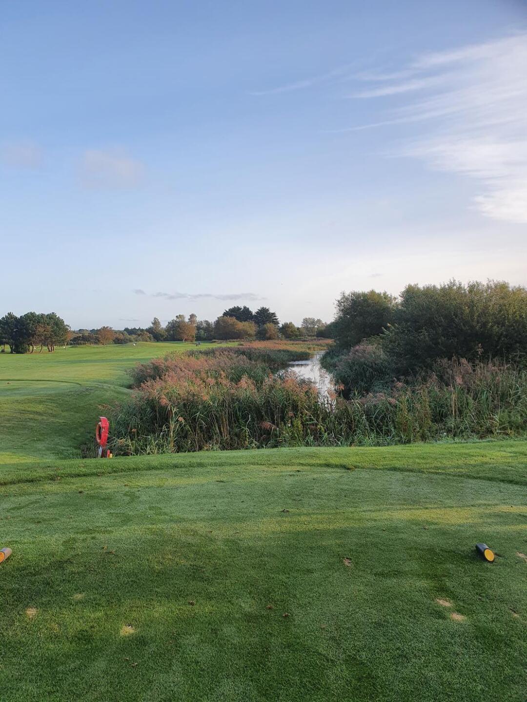 (Photo submitted by u550940190 on 09/18/2020)