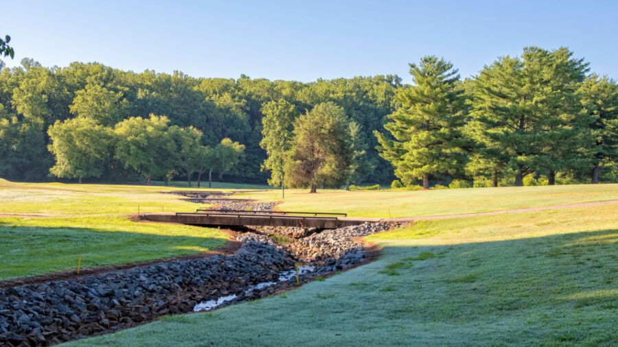 Maple Chase GCC: #8
