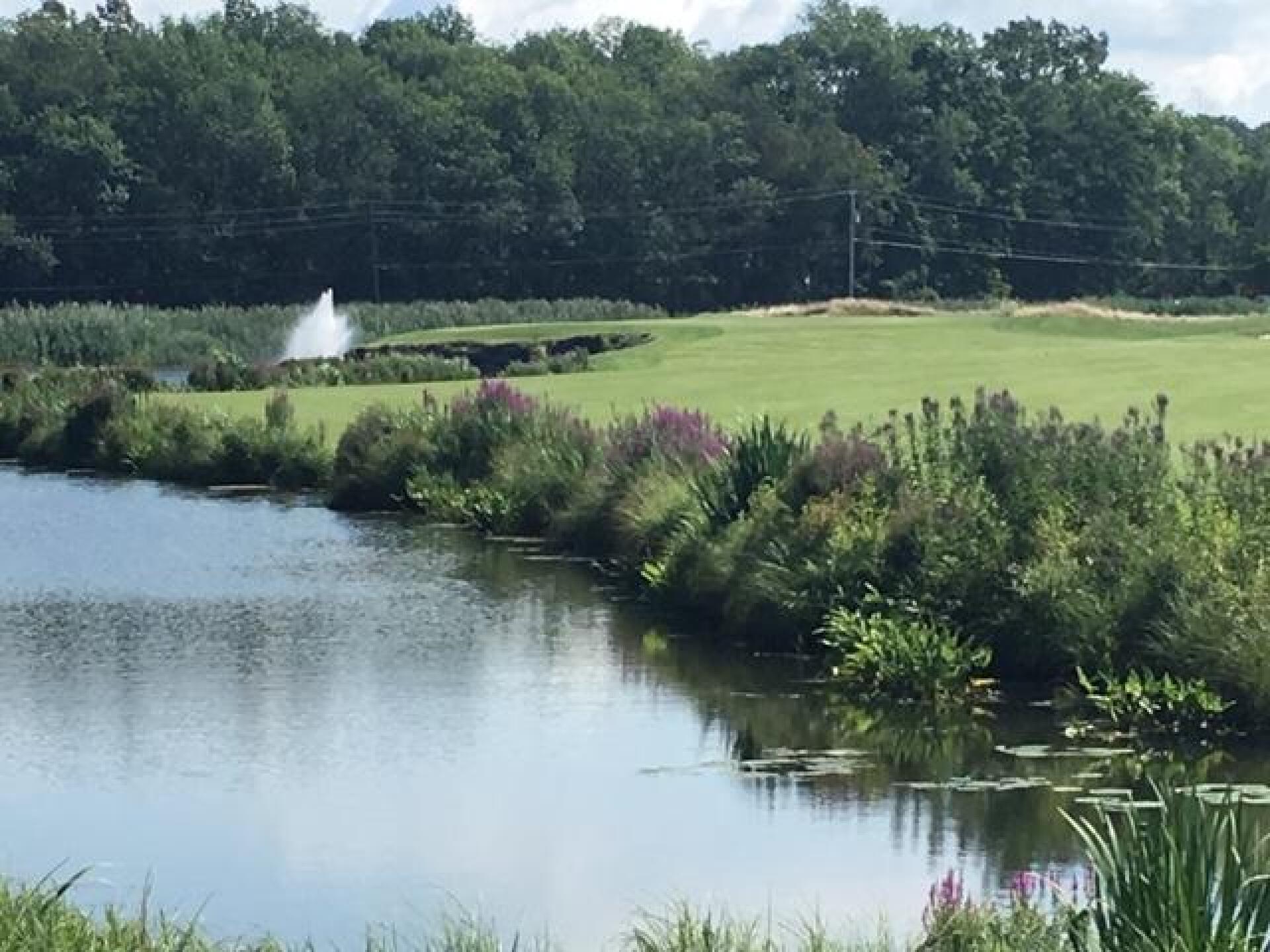 (Photo submitted by LICC on 08/11/2019)