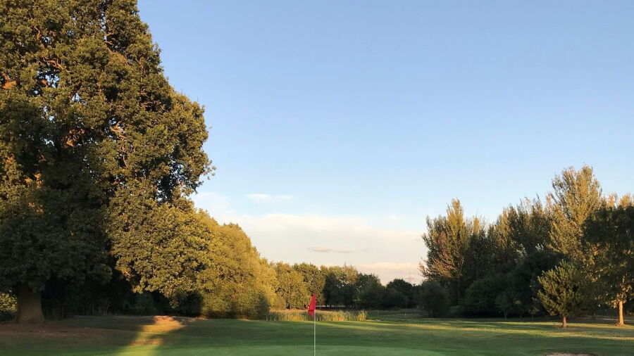 Theale GC