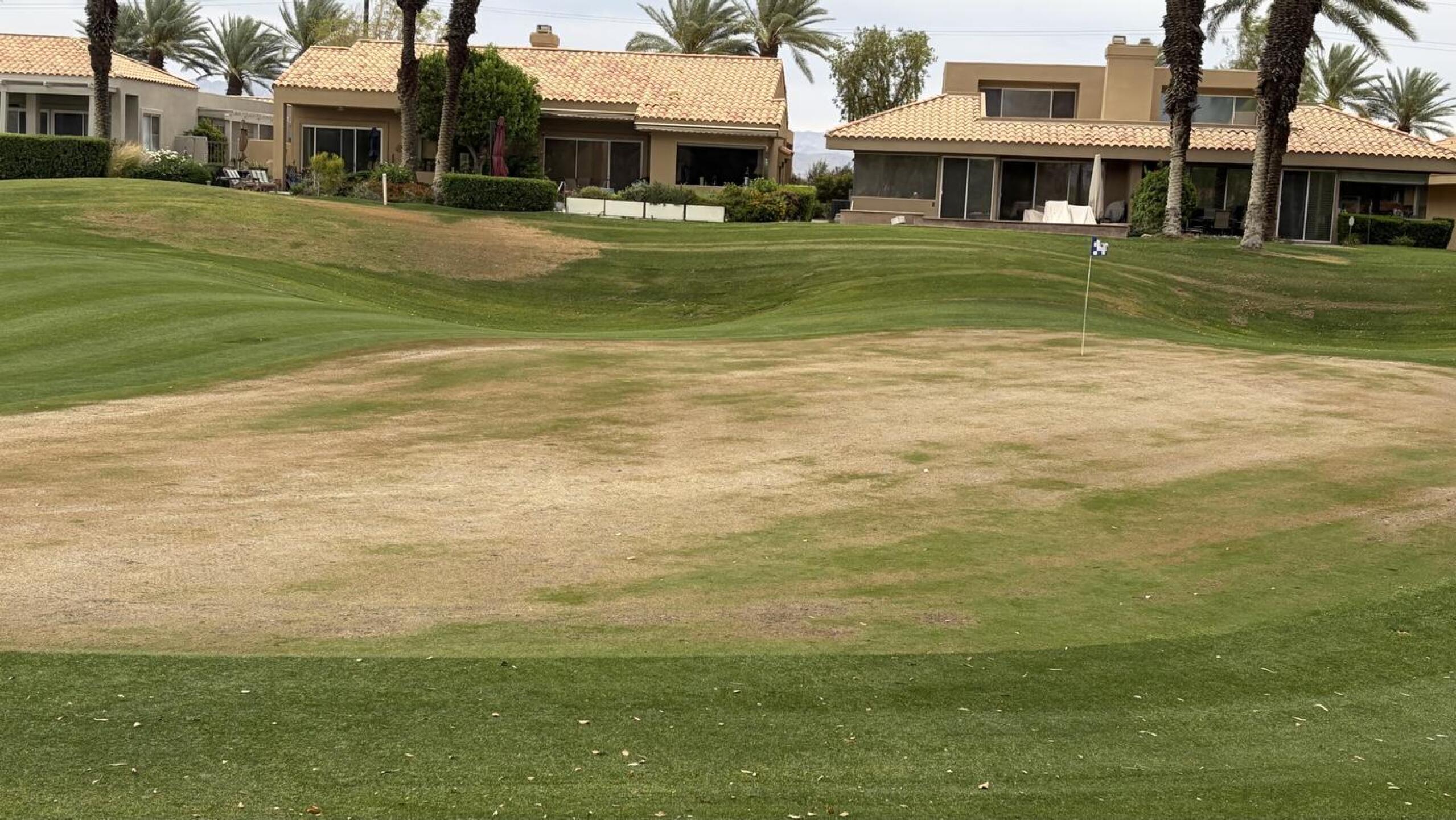 (Photo submitted by Stuartallen on 03/31/2026)