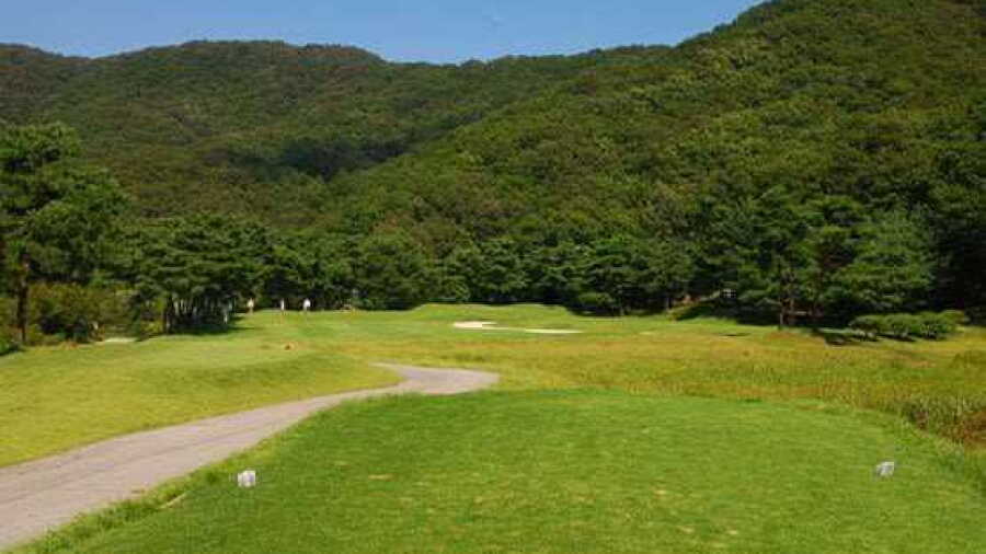 Century 21 CC - Pine: #2