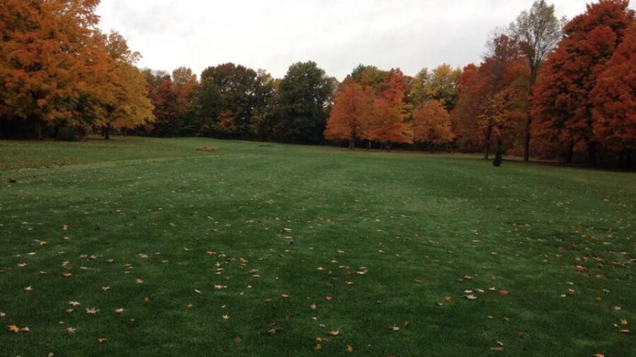 Riverside Greens