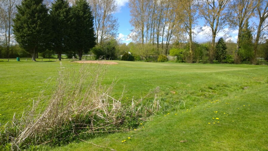 Warwick GC: #1