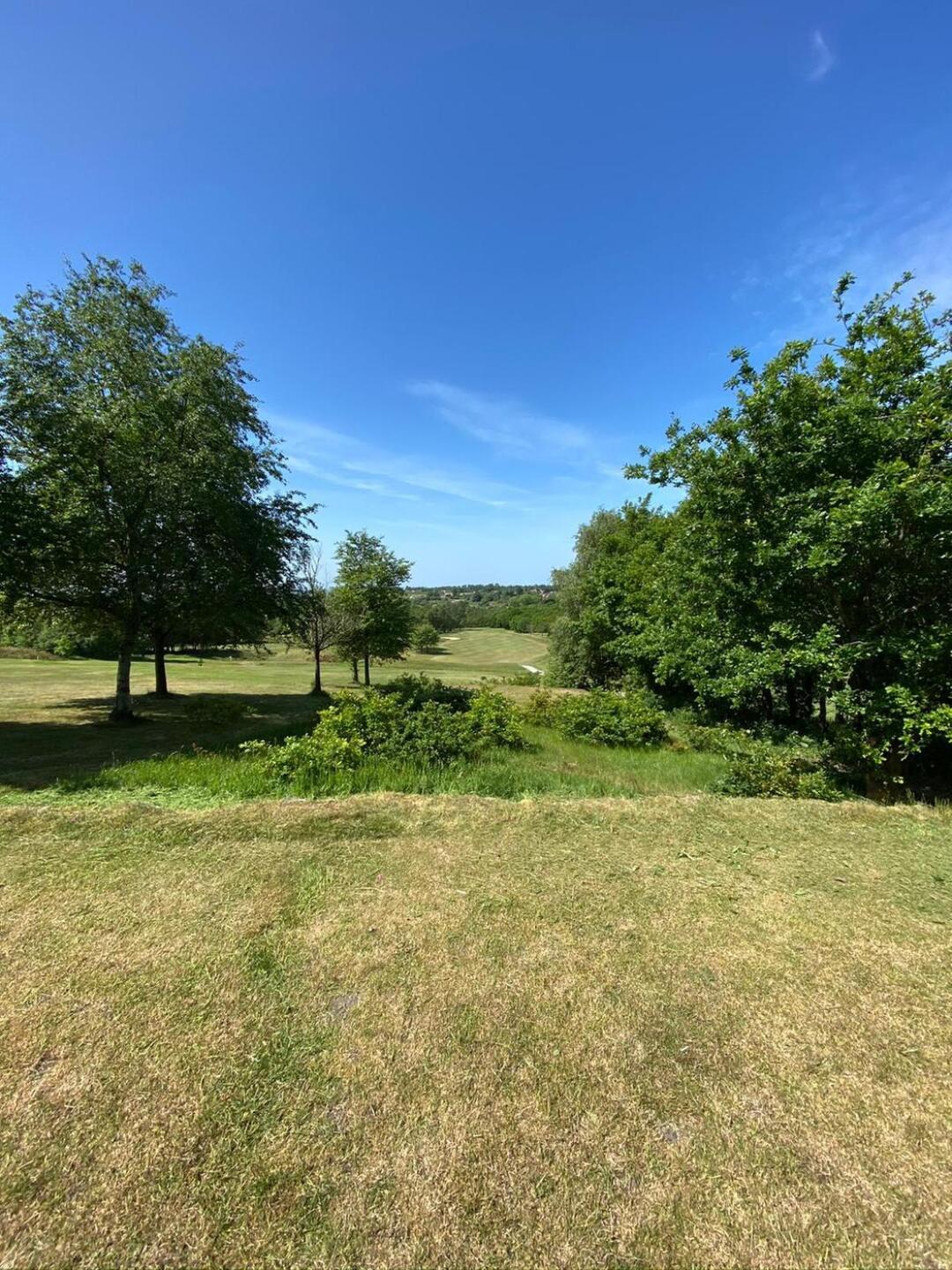 (Photo submitted by u262804978 on 05/27/2020)