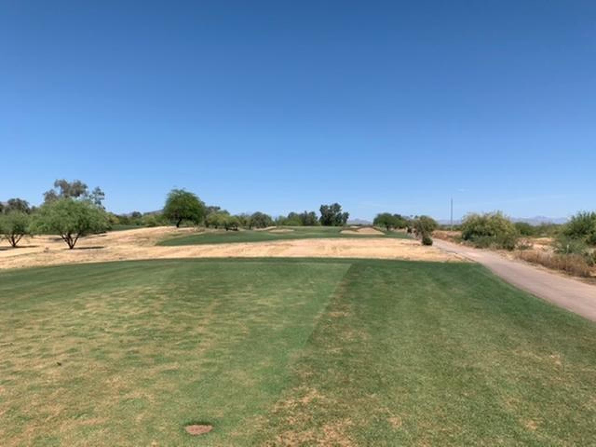 (Photo submitted by garthstewart on 05/03/2020)