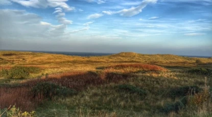 Coul links proposed site