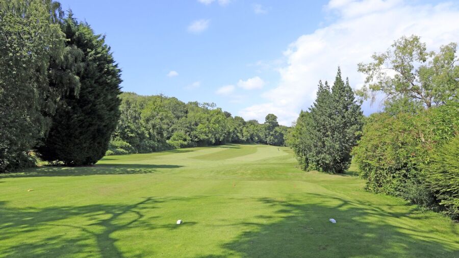 Dinas Powis GC: #6