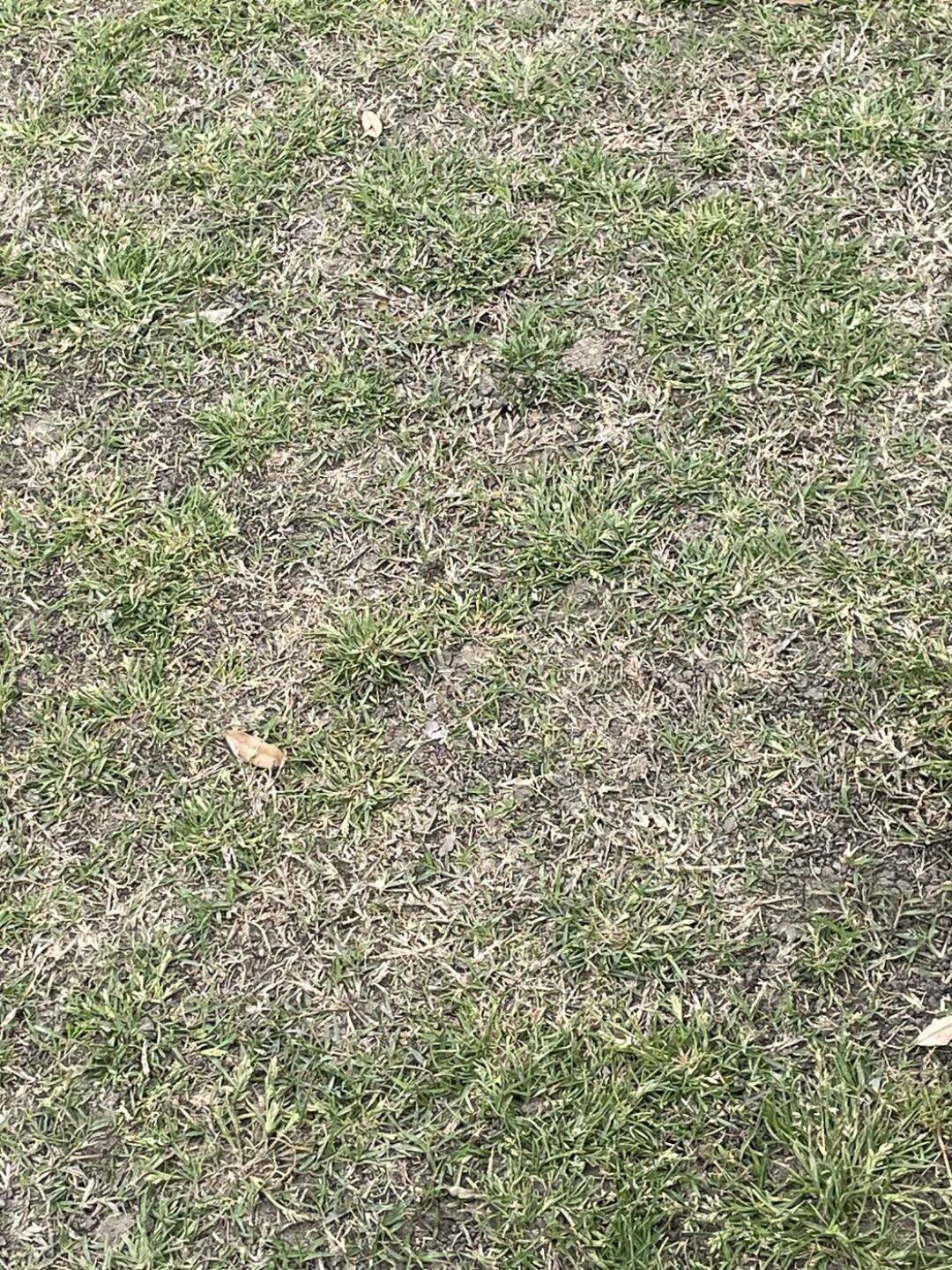 (Photo submitted by David2527490 on 04/14/2023)