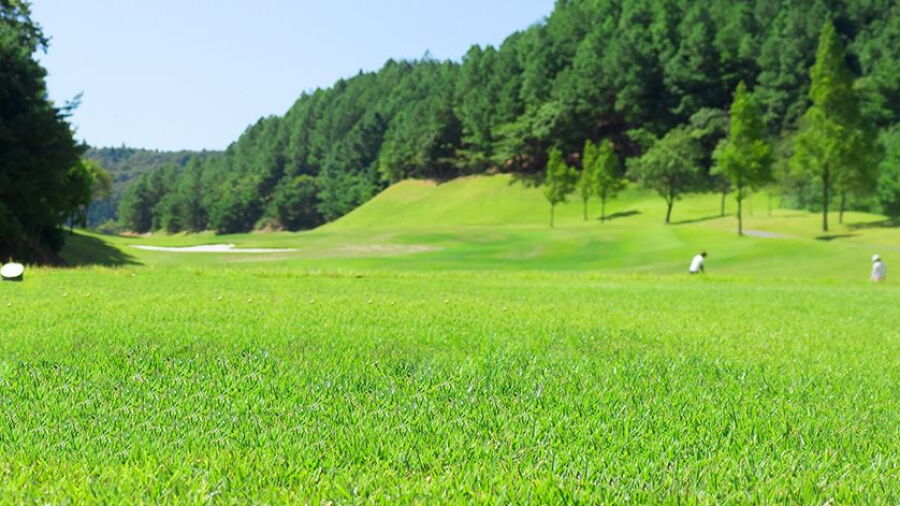 Green Cup GC