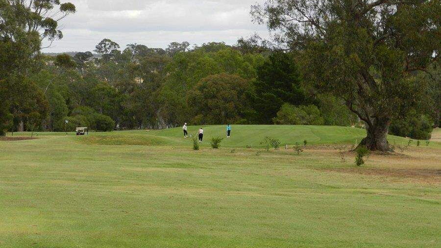 Belvoir Park GC: #1
