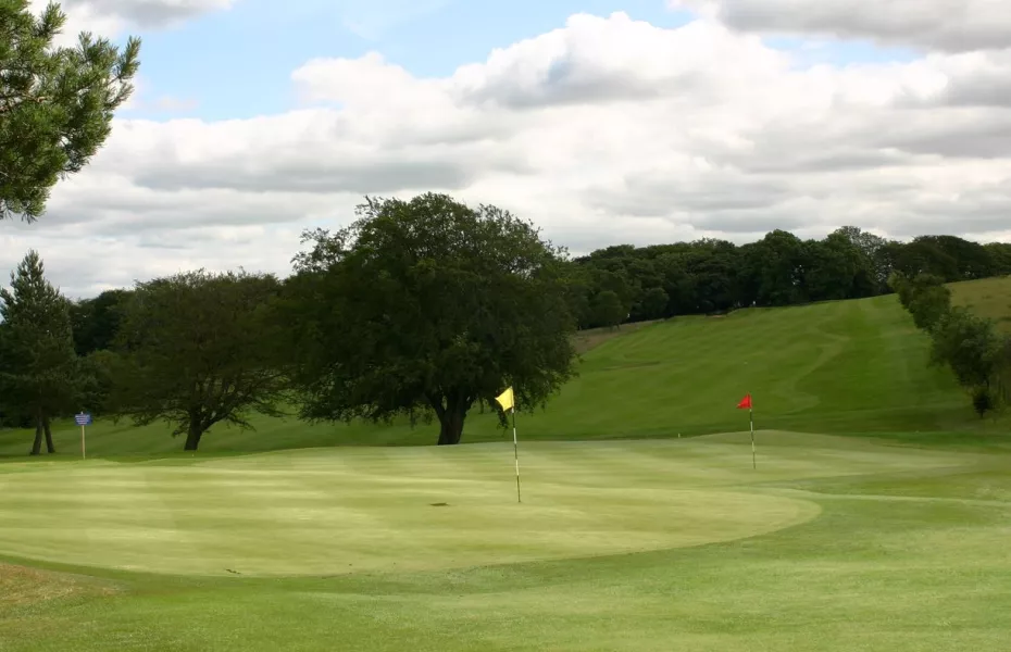 Mt. Ellen GC: #1 & #17