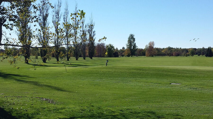 Scotswood Links
