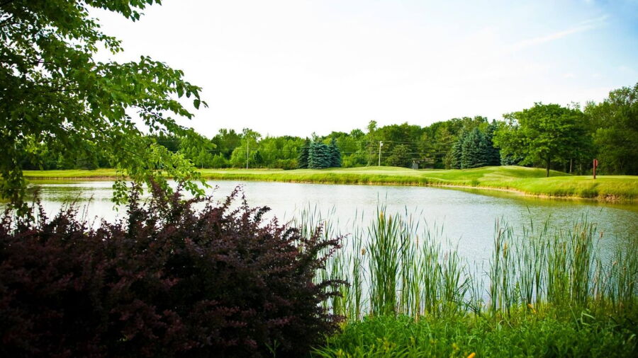 North Shore CC