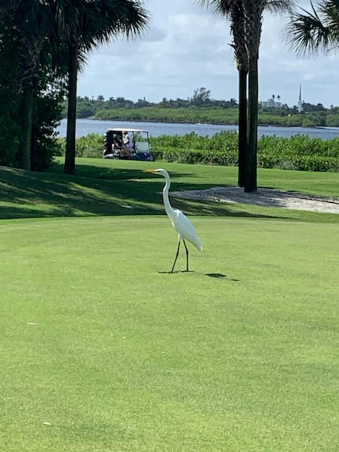 (Photo submitted by firedawgs on 10/29/2020)