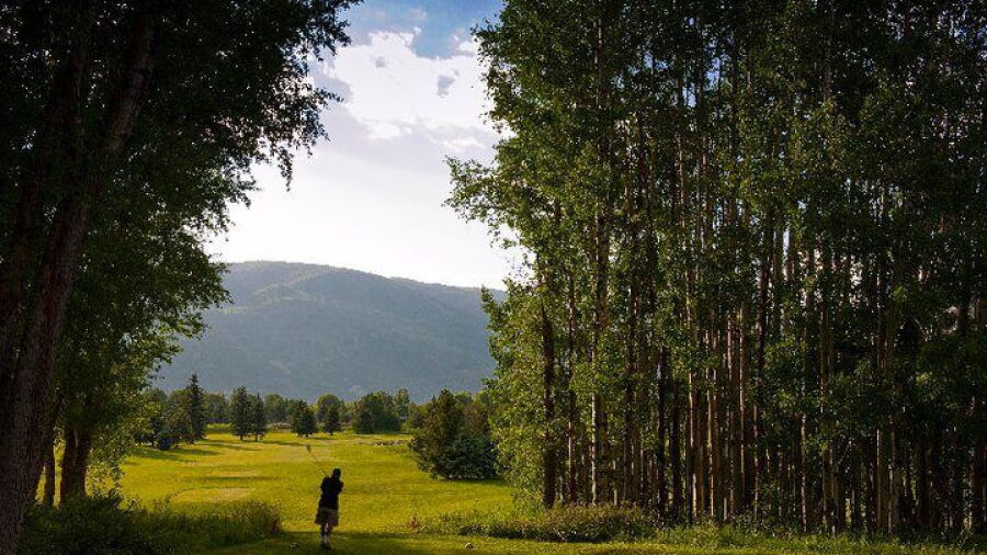 Aspen GC