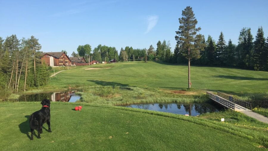 Gjovik & Toten GC: #9
