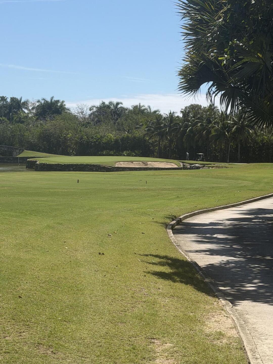 (Photo submitted by gybuynew on 04/12/2026)