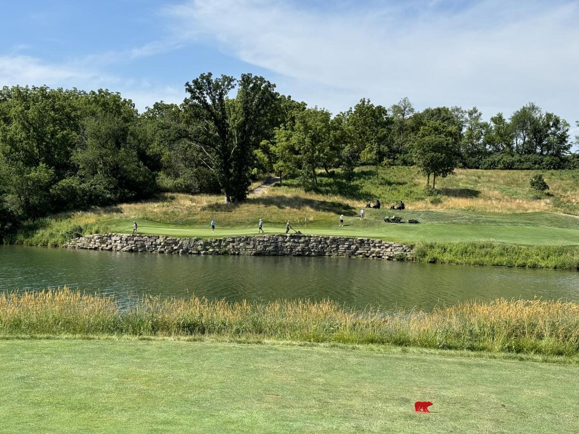 (Photo submitted by Farmall560 on 06/24/2024)