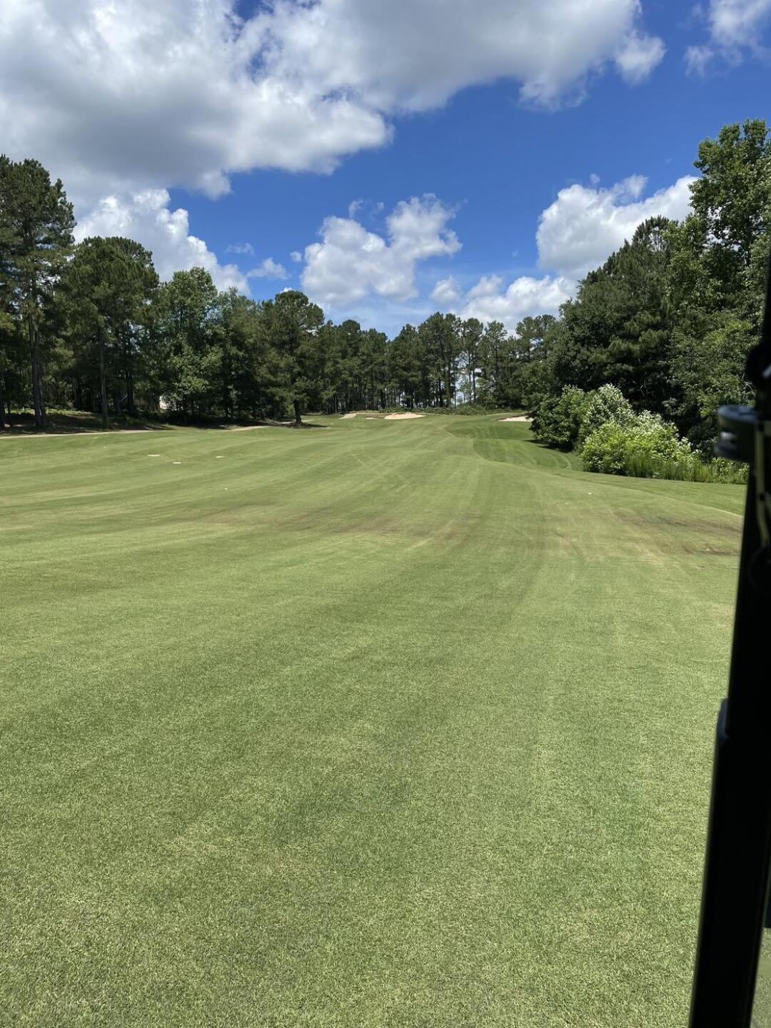 (Photo submitted by Russ3037536 on 07/01/2021)