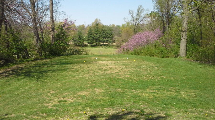 New Albany Springs GC: #6