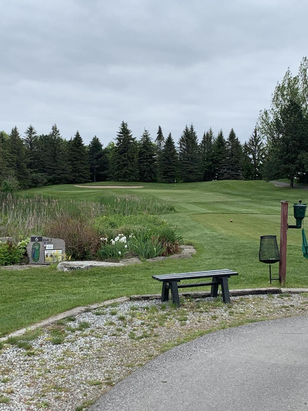 (Photo submitted by u314160171372 on 06/02/2022)