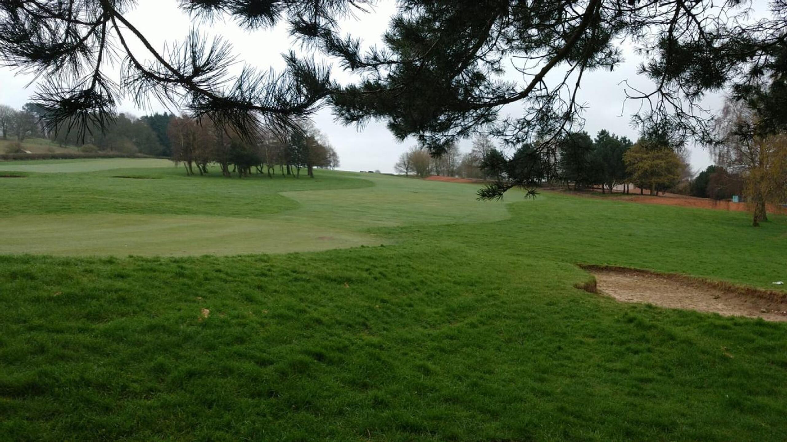 (Photo submitted by TGordon2 on 04/04/2021)