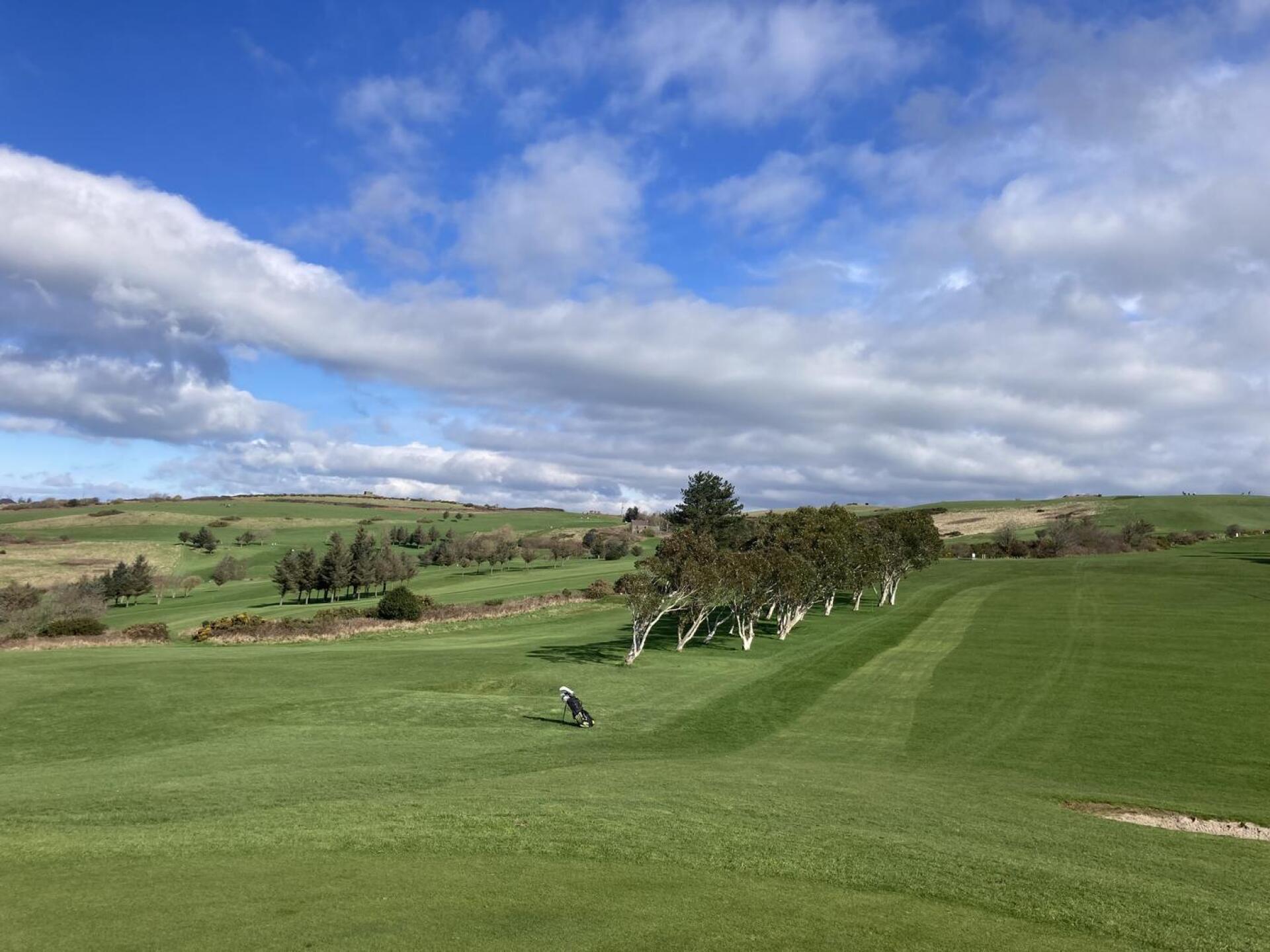 (Photo submitted by gk1985 on 05/23/2024)