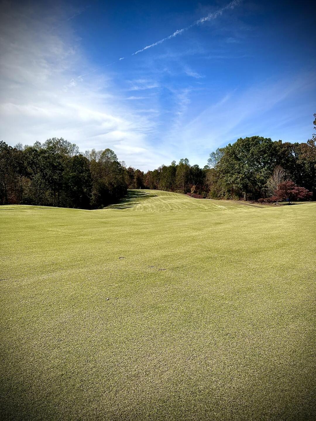 (Photo submitted by Rsieck01 on 10/25/2025)