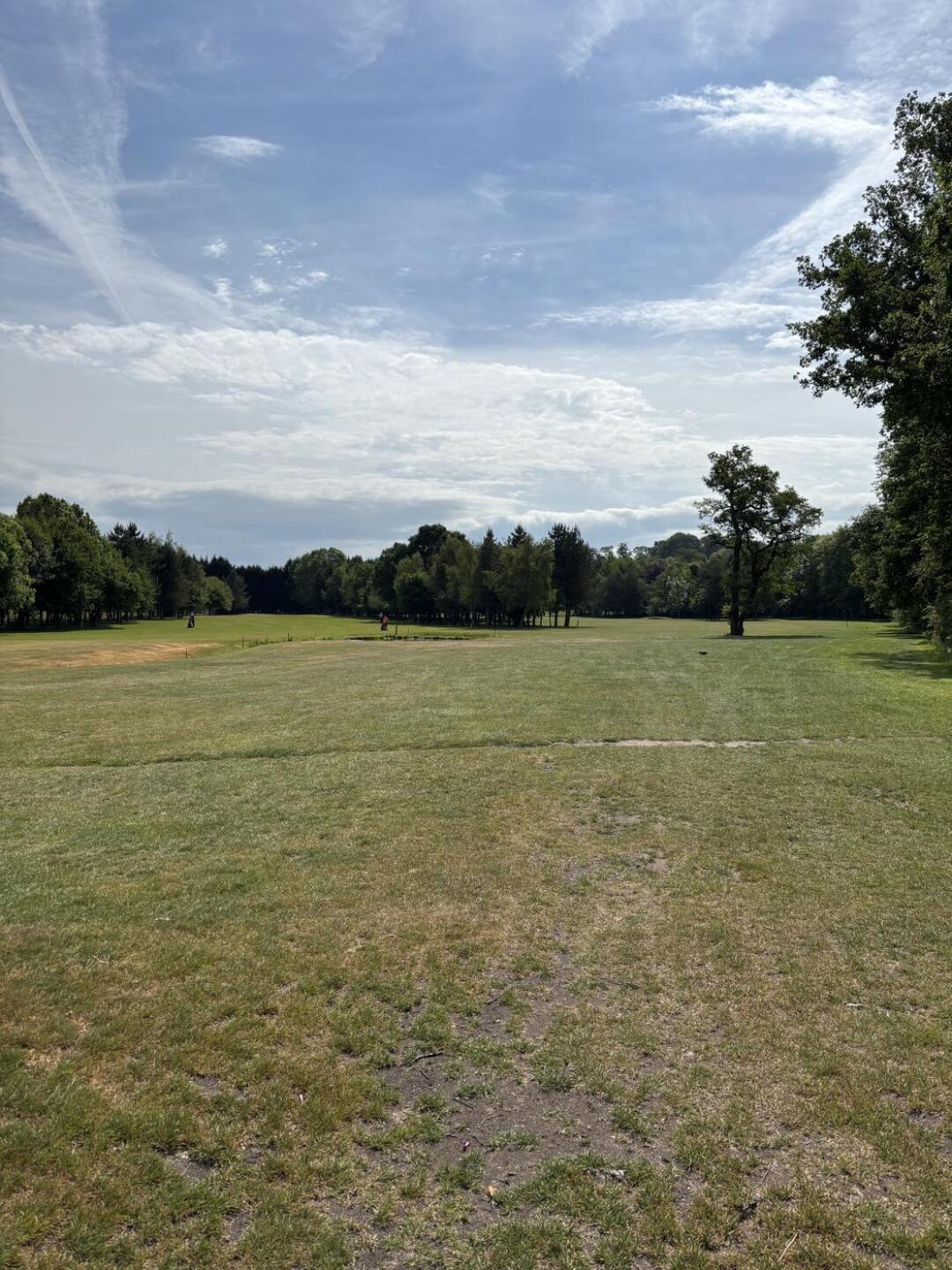 (Photo submitted by jchild94 on 05/25/2025)