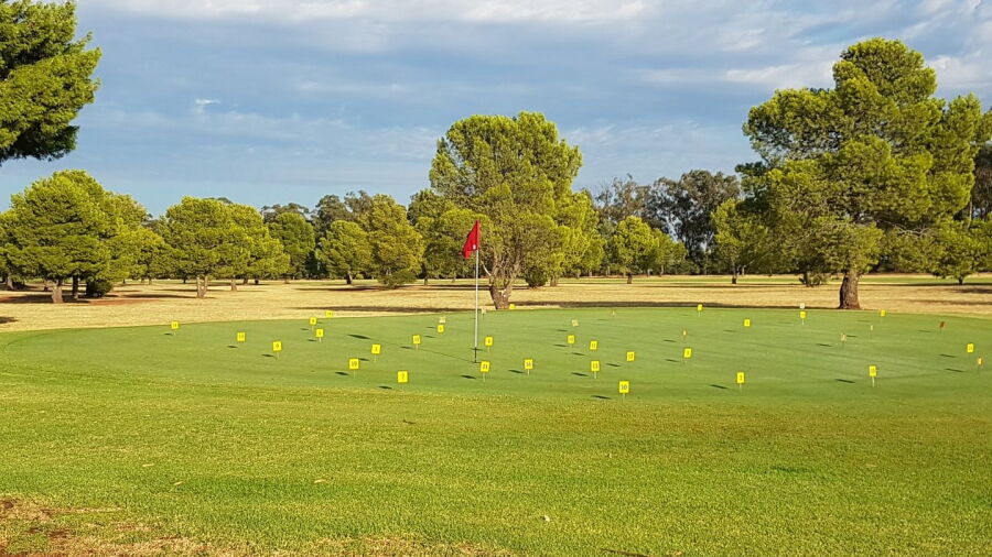 West Wyalong Country GC